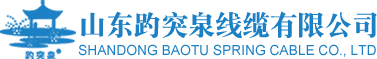 山东趵突泉线缆有限公司